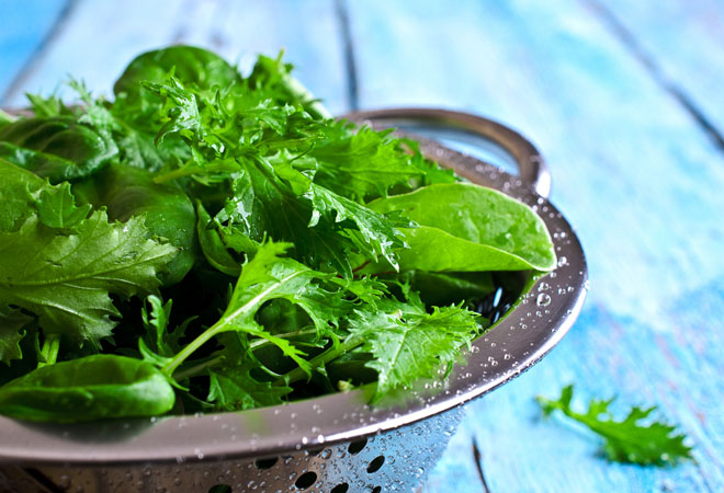 Зелень для салата: особенности подготовки