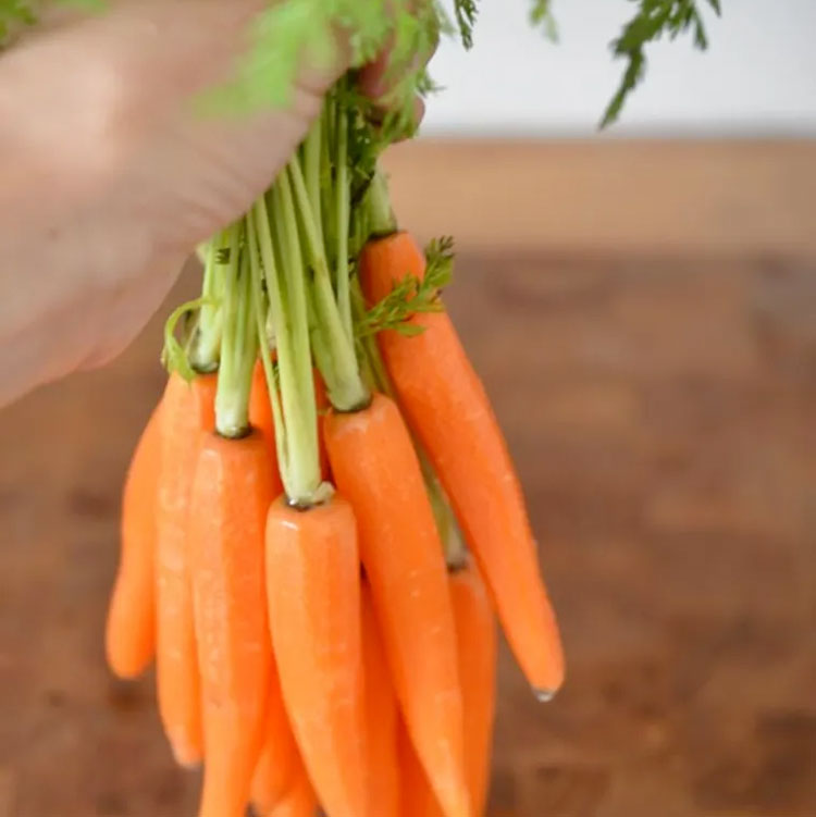 Кладем морковь в банку: хрустящая закуска на замену соленым огурцам