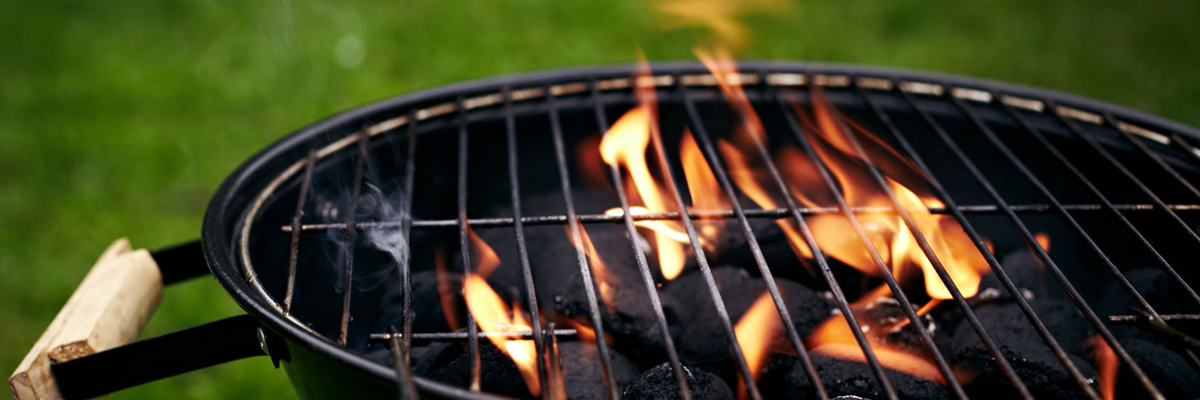 Тонкости выбора угольного гриля