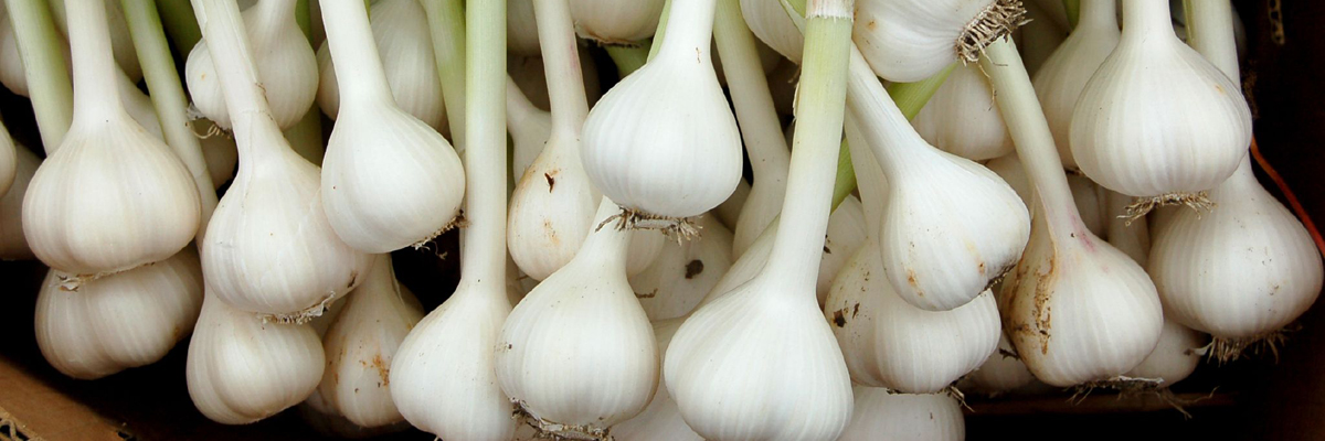 10 лучших естественных способов повысить иммунитет