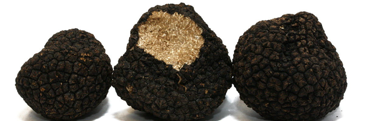 Самая дорогая еда в мире