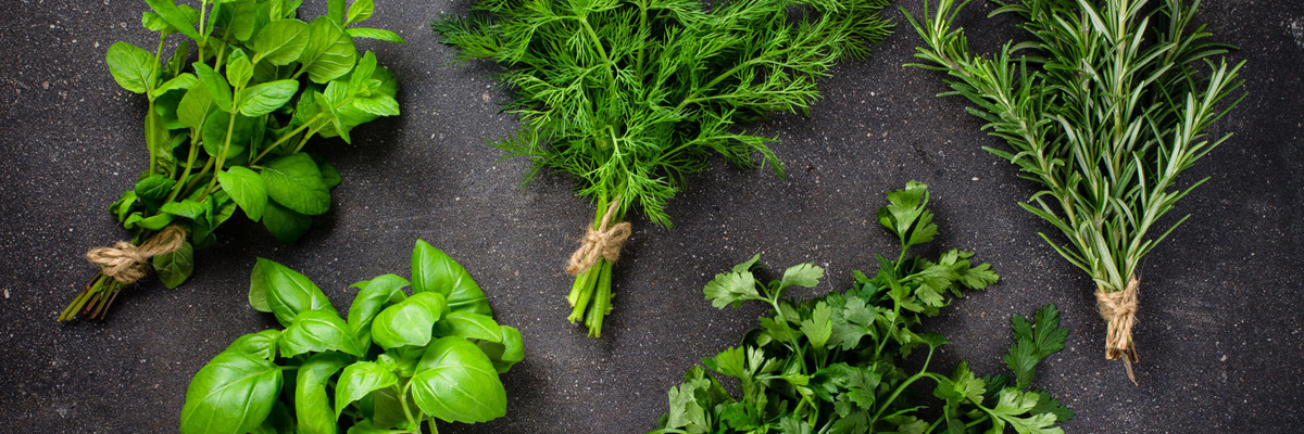 Травы на кухне: 10 классических сочетаний