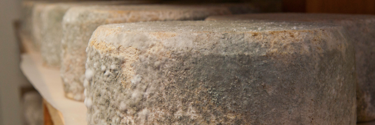 10 сыров на вес золота 