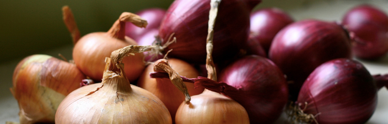 5 продуктов для борьбы с простудой и гриппом