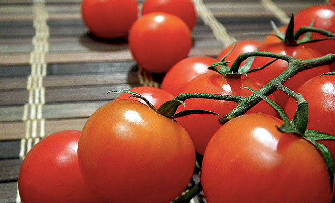 Настоящие яды, которые мы любим есть