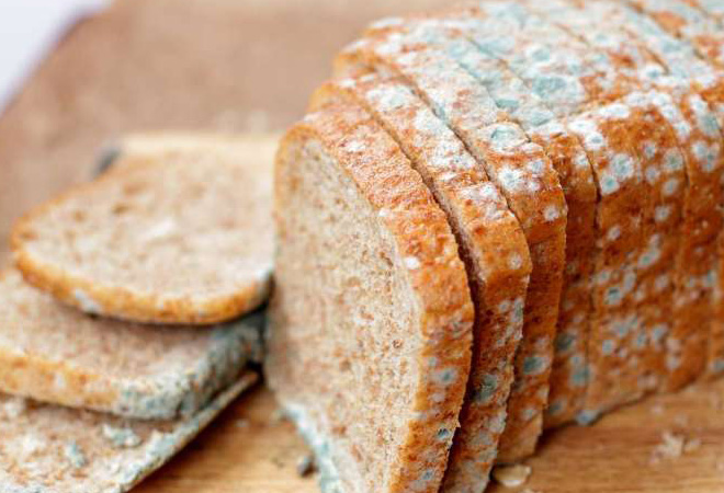 Что будет, если съесть хлеб с плесенью