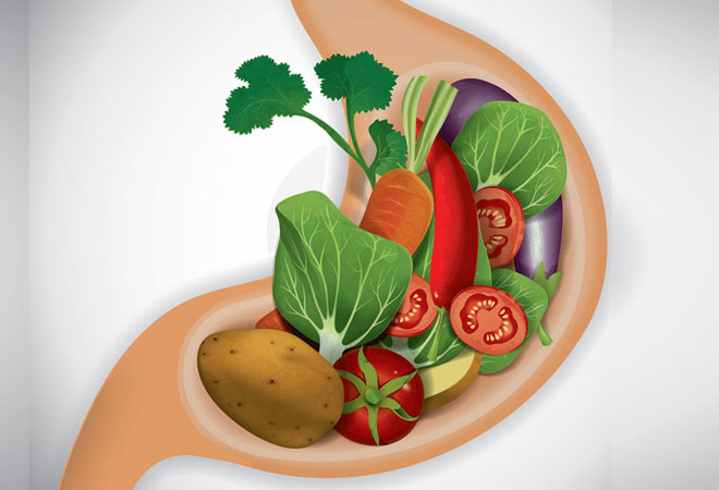 Сколько переваривается разная еда на самом деле