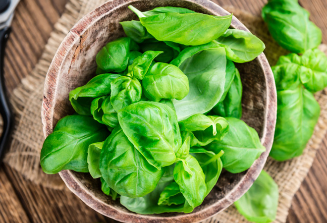 Специи, обладающие лечебными свойствами