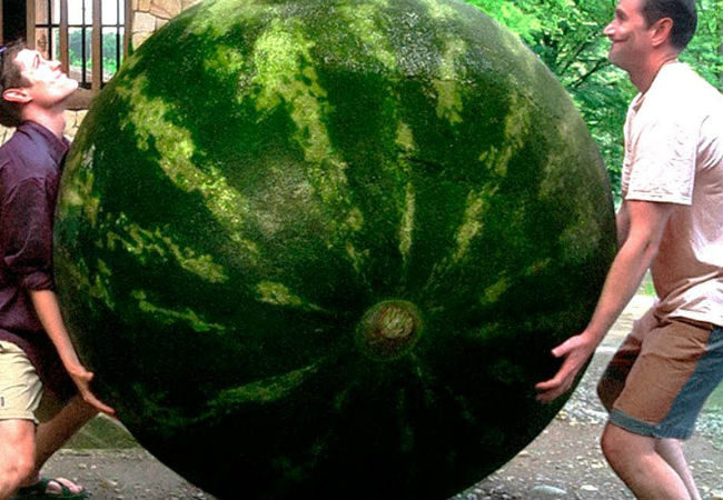 10 самых дорогих фруктов мира