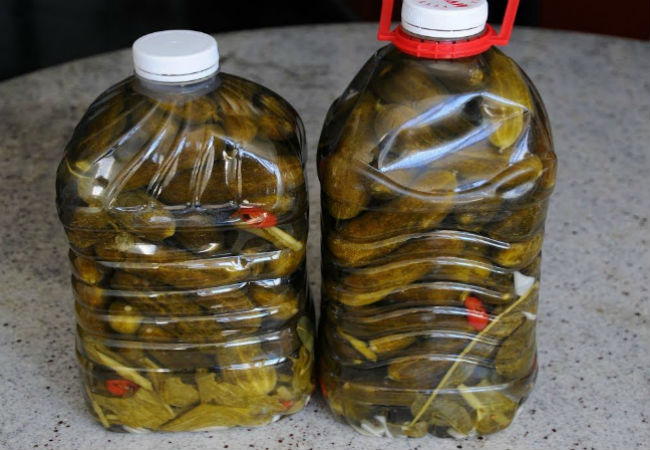 Маринуем огурцы в пластиковой бутыли: холодная заготовка без кипячения
