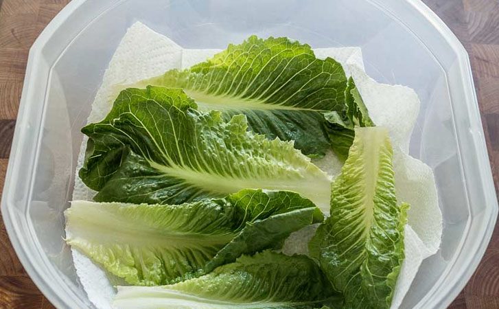 Заворачиваем зелень в бумажное полотенце: хранится месяц и не портится