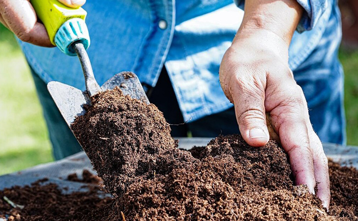 Подготавливаем почву для следующего сезона. Плодородие без вредной химии
