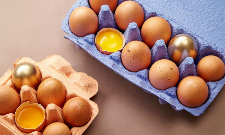 Желтые и белые яйца: какие полезнее