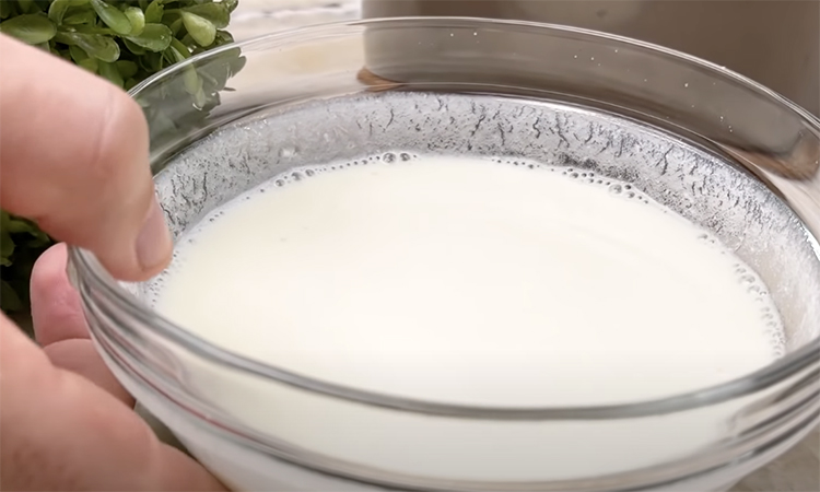 Кладем в кастрюлю молока 3 ложки йогурта и ставим в духовку. Как остынет, все молоко превратится в домашний йогурт