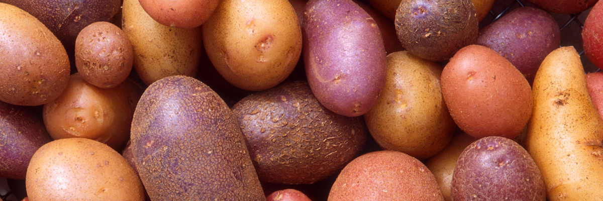 5 продуктов, которые нельзя разогревать