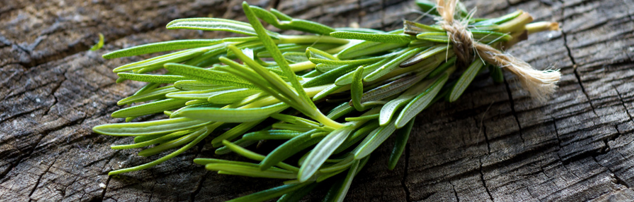 Скрытая польза розмарина