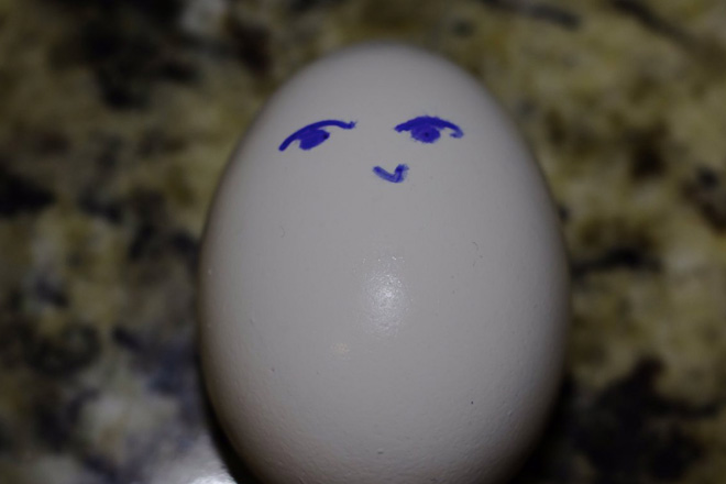 Почему яйца имеют тупой и острый конец